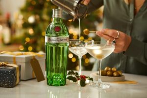 Tanqueray Gin Base Drink: Try These Recipes