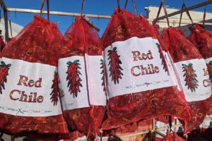 The Fiery Heart of New Mexico: A Culinary Exploration of Hatch Red Chile Pods