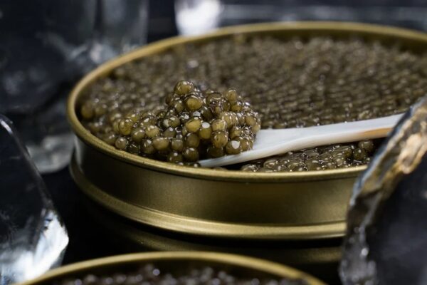 How to Identify High-Quality Caviar: Expert Shopping Tips