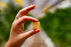 How Edibles Work in the Body and Why Timing Matters