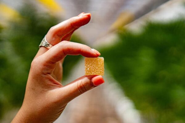 How Edibles Work in the Body and Why Timing Matters